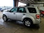 2011 Ford Escape XLS