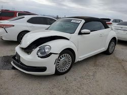 Salvage cars for sale at Tucson, AZ auction: 2013 Volkswagen Beetle