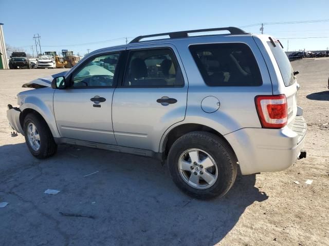 2011 Ford Escape XLT