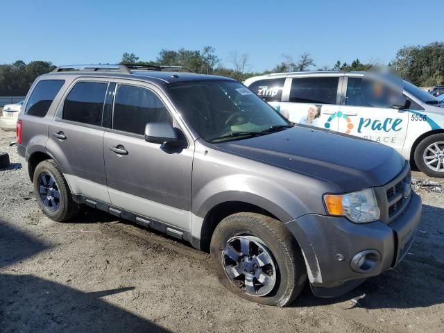 2012 Ford Escape Limited