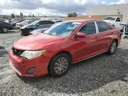 Salvage cars for sale at Mentone, CA auction: 2013 Toyota Camry L