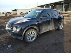 Salvage cars for sale at Brighton, CO auction: 2012 Nissan Juke S