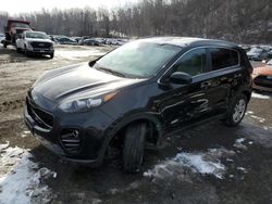 KIA Sportage salvage cars for sale: 2017 KIA Sportage LX