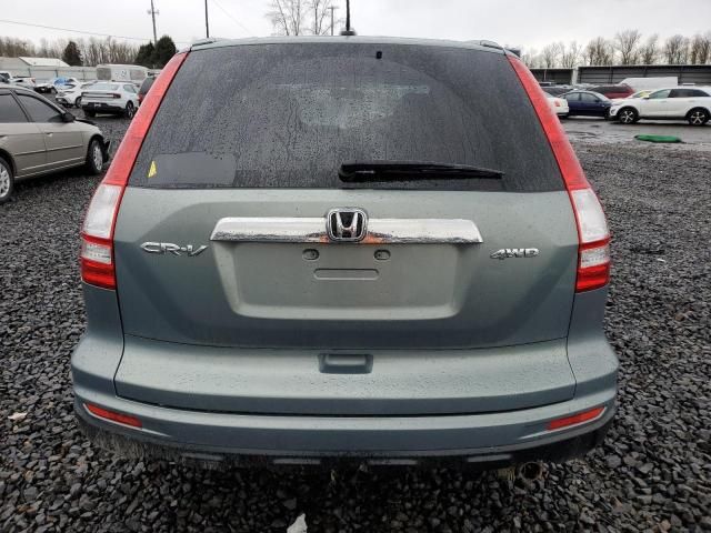 2010 Honda CR-V EXL