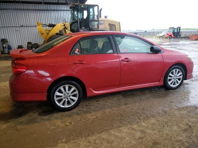 2010 Toyota Corolla Base