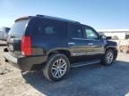 2010 Cadillac Escalade Luxury