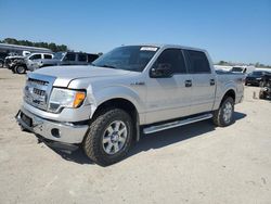 Salvage trucks for sale at Harleyville, SC auction: 2014 Ford F150 Supercrew