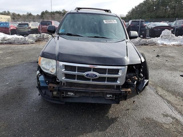 2011 Ford Escape XLT