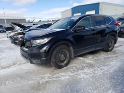 Salvage cars for sale from Copart Elmsdale, NS: 2019 Honda CR-V LX