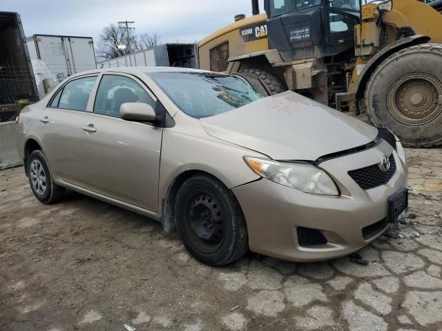 2010 Toyota Corolla Base