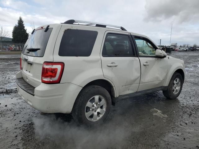 2011 Ford Escape Limited