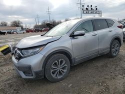 Salvage SUVs for sale at auction: 2021 Honda CR-V EXL