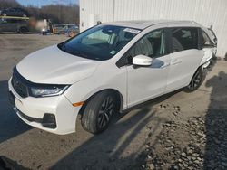 Honda Odyssey exl salvage cars for sale: 2025 Honda Odyssey EXL