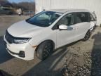 2025 Honda Odyssey EXL