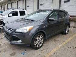 Salvage cars for sale at Louisville, KY auction: 2016 Ford Escape Titanium