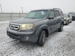 Salvage cars for sale from Copart Magna, UT: 2011 Honda Pilot Exln