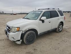 Salvage cars for sale at New Braunfels, TX auction: 2011 Ford Escape Limited