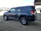 2010 Toyota 4runner SR5