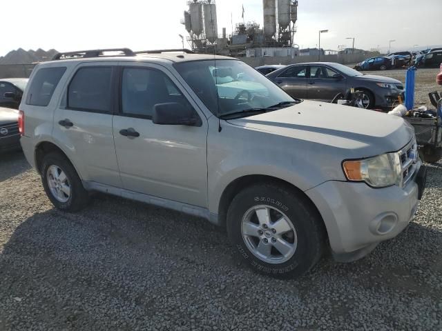 2009 Ford Escape XLT