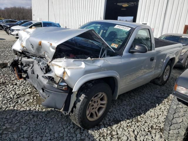 2004 Dodge Dakota SXT