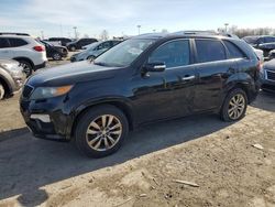 Salvage cars for sale at Indianapolis, IN auction: 2011 KIA Sorento SX