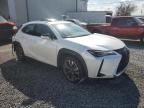 2021 Lexus UX 250H