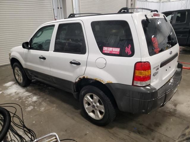 2005 Ford Escape XLT