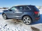 2014 Audi Q5 TDI Premium Plus