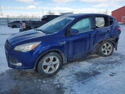 Salvage cars for sale at London, ON auction: 2015 Ford Escape SE