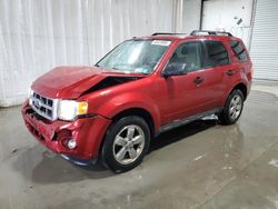 Salvage cars for sale at Albany, NY auction: 2012 Ford Escape XLT