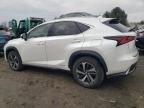 2020 Lexus NX 300H