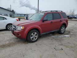 Clean Title Cars for sale at auction: 2012 Ford Escape XLT