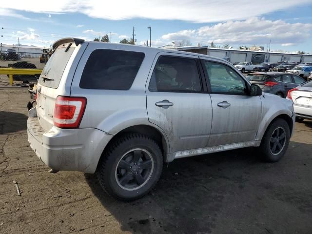 2010 Ford Escape XLT