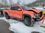 2023 Toyota Tacoma Double Cab