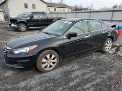 Vehiculos salvage en venta de Copart York Haven, PA: 2010 Honda Accord EXL