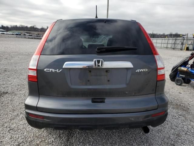 2010 Honda CR-V EX