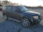 2008 Ford Escape Limited