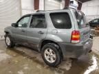 2007 Ford Escape XLT