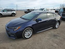 Toyota Corolla le salvage cars for sale: 2021 Toyota Corolla LE