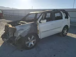 Salvage cars for sale at Anthony, TX auction: 2013 Honda Pilot Touring