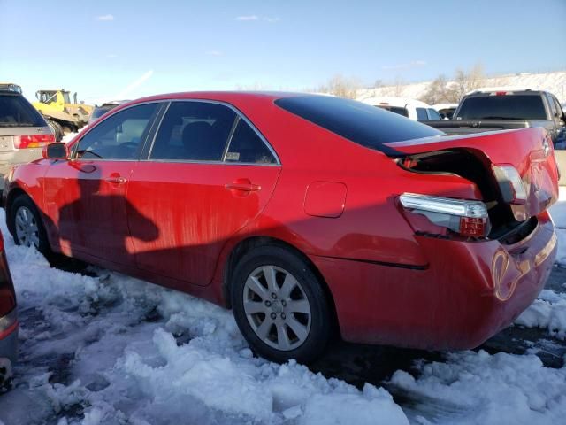 2009 Toyota Camry Hybrid