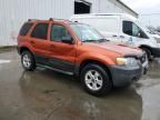 2007 Ford Escape XLT