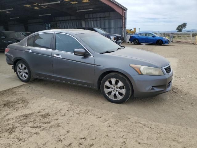 2008 Honda Accord EXL