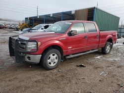 SUV salvage a la venta en subasta: 2013 Ford F150 Supercrew