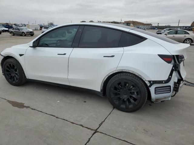 2020 Tesla Model Y