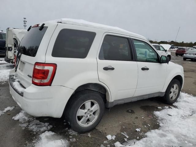 2009 Ford Escape XLT