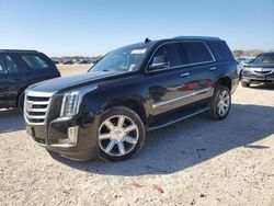 Salvage cars for sale at San Antonio, TX auction: 2018 Cadillac Escalade Premium Luxury