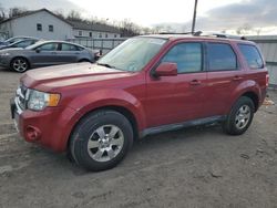 Salvage cars for sale at York Haven, PA auction: 2012 Ford Escape Limited