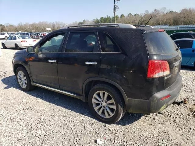 2011 KIA Sorento Base