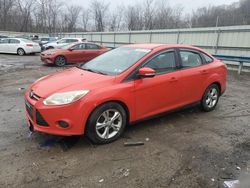 Salvage cars for sale at Ellwood City, PA auction: 2013 Ford Focus SE